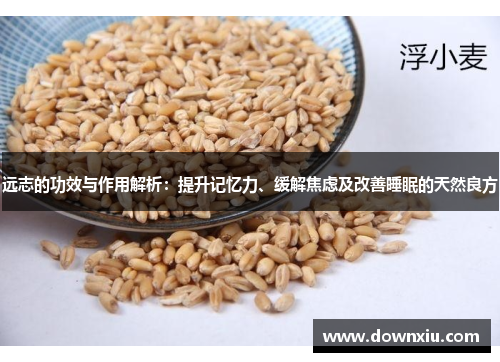 远志的功效与作用解析：提升记忆力、缓解焦虑及改善睡眠的天然良方